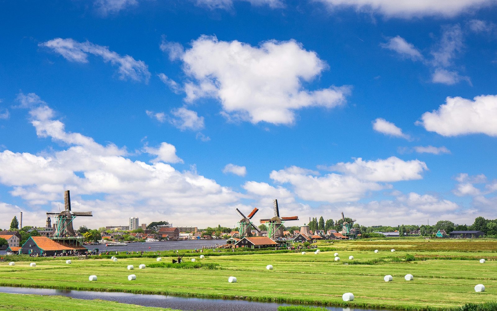 Affiliate Marketing Trends in the Netherlands and Slovenia